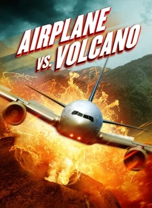Airplane vs. Volcano (2014) Hindi Dual Audio 720p BluRay [800MB]