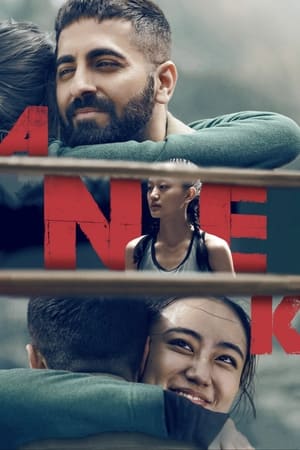 Anek 2022 Hindi Movie HDRip 720p – 480p
