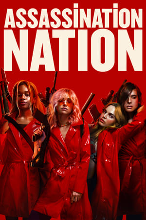Assassination Nation (2018) Hindi Dual Audio 480p BluRay 400MB