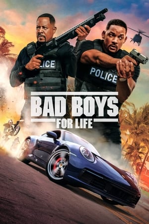 Bad Boys for Life (2020) Hindi (ORG) Dual Audio 480p BluRay 400MB