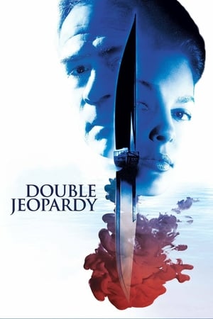 Double Jeopardy 1999 Hindi Dual Audio 720p Web-DL [920MB]