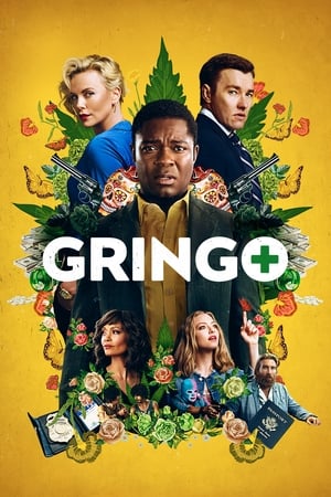 Gringo (2018) Hindi Dual Audio 480p BluRay 400MB