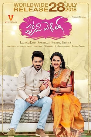 Happy Wedding (2018) (Hindi - Telugu) Dual Audio 720p UnCut HDRip [1.4GB]