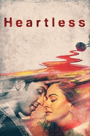 Heartless (2014) Hindi Movie 480p HDRip - [380MB]
