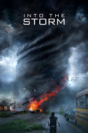 Into the Storm (2014) Hindi Dual Audio 720p BluRay [1GB]