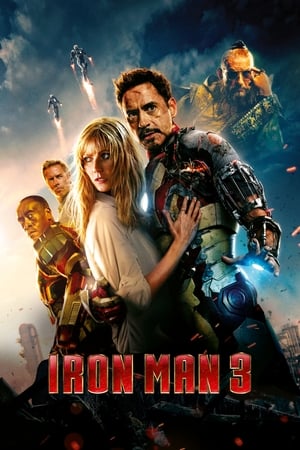 Iron Man 3 (2013) Hindi Dual Audio 480p BluRay 300MB