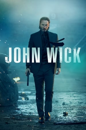 John Wick (2014) Hindi Dual Audio 720p BluRay [900MB] ESubs