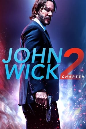 john Wick Chapter 2 (2017) Dual Audio Hindi 480p BluRay 350MB