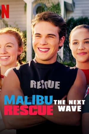 Malibu Rescue: The Next Wave (2020) Hindi Dual Audio 720p Web-DL [640MB]