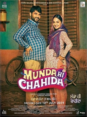 Munda Hi Chahida (2019) Punjabi Movie 720p HDTVRip x264 [1GB]