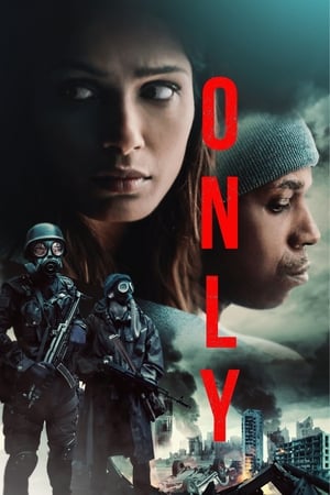 Only 2019 Hindi Dual Audio 720p Web-DL [900MB]