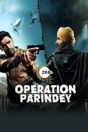 Operation Parindey 2020 Hindi Movie 720p HDRip x264 [500MB]