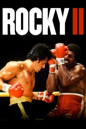 Rocky II (1979) Dual Audio Hindi 480p Bluray 400MB