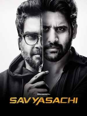 Savyasachi (2018) Hindi Dual Audio 720p UnCut HDRip [1.2GB]