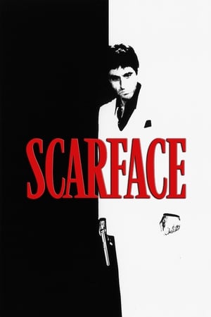 Scarface (1983) Dual Audio Hindi Movie 720p BluRay - 1.4GB