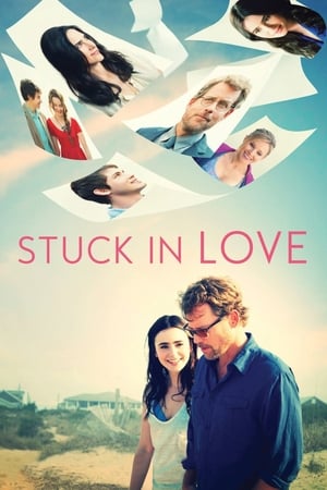 Stuck in Love (2012) Hindi Dual Audio 720p BluRay [850MB]