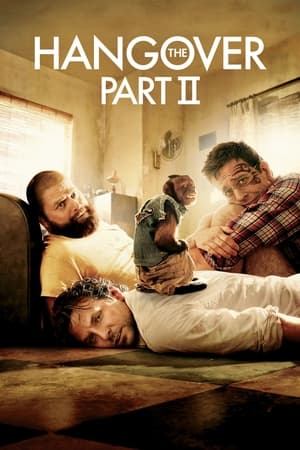 The Hangover Part II (2011) Hindi Dual Audio 480p BluRay 300MB