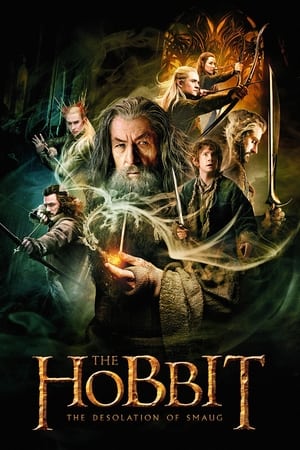 The Hobbit: The Desolation of Smaug (2013) Hindi Dubbed BluRay 720p [1.9GB] Download