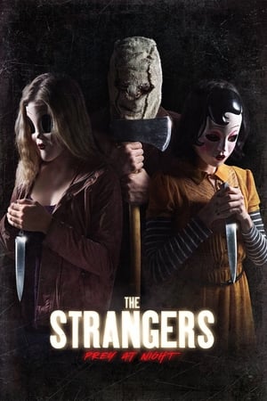 The Strangers: Prey at Night (2018) Hindi Dual Audio 720p BluRay [770MB]
