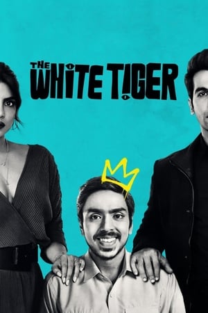 The White Tiger (2021) Hindi Movie 480p HDRip – [370MB]